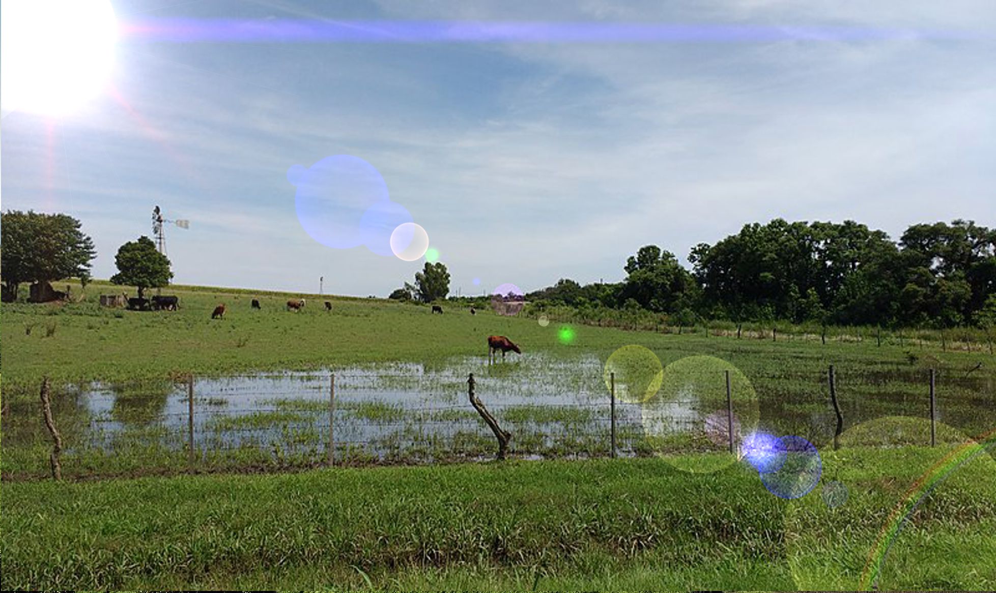 parallax background